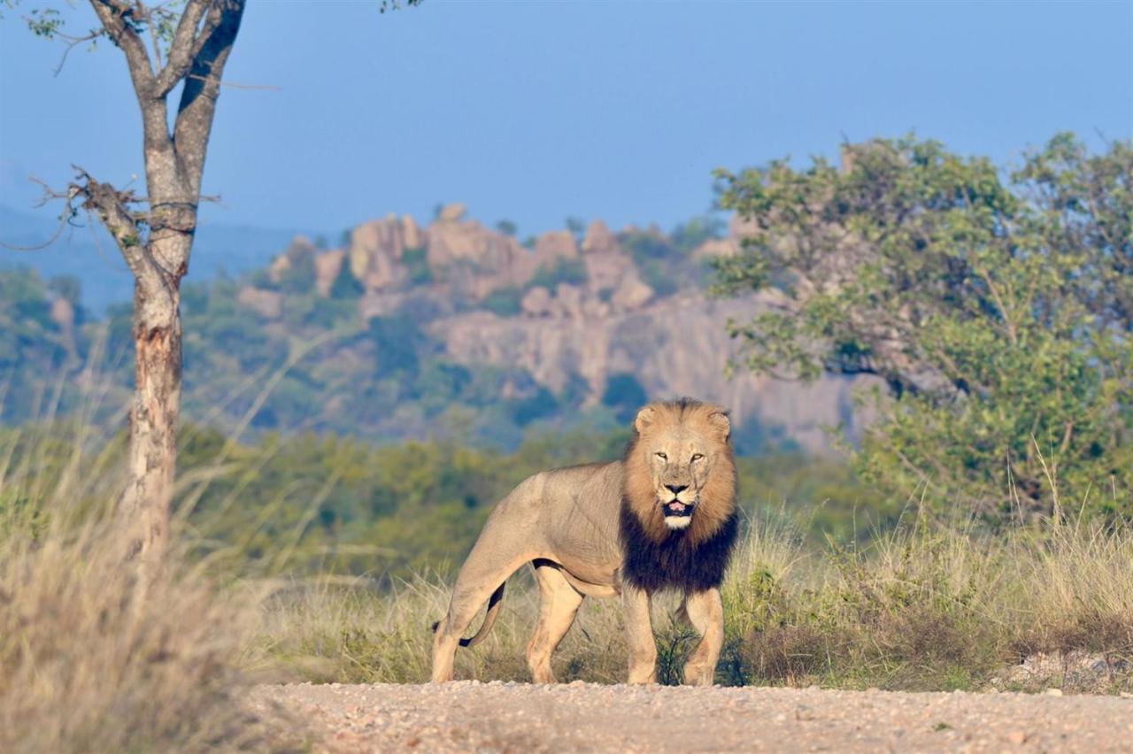 Ndzuti Bush Camp Hotell Balule viltreservat Exteriör bild