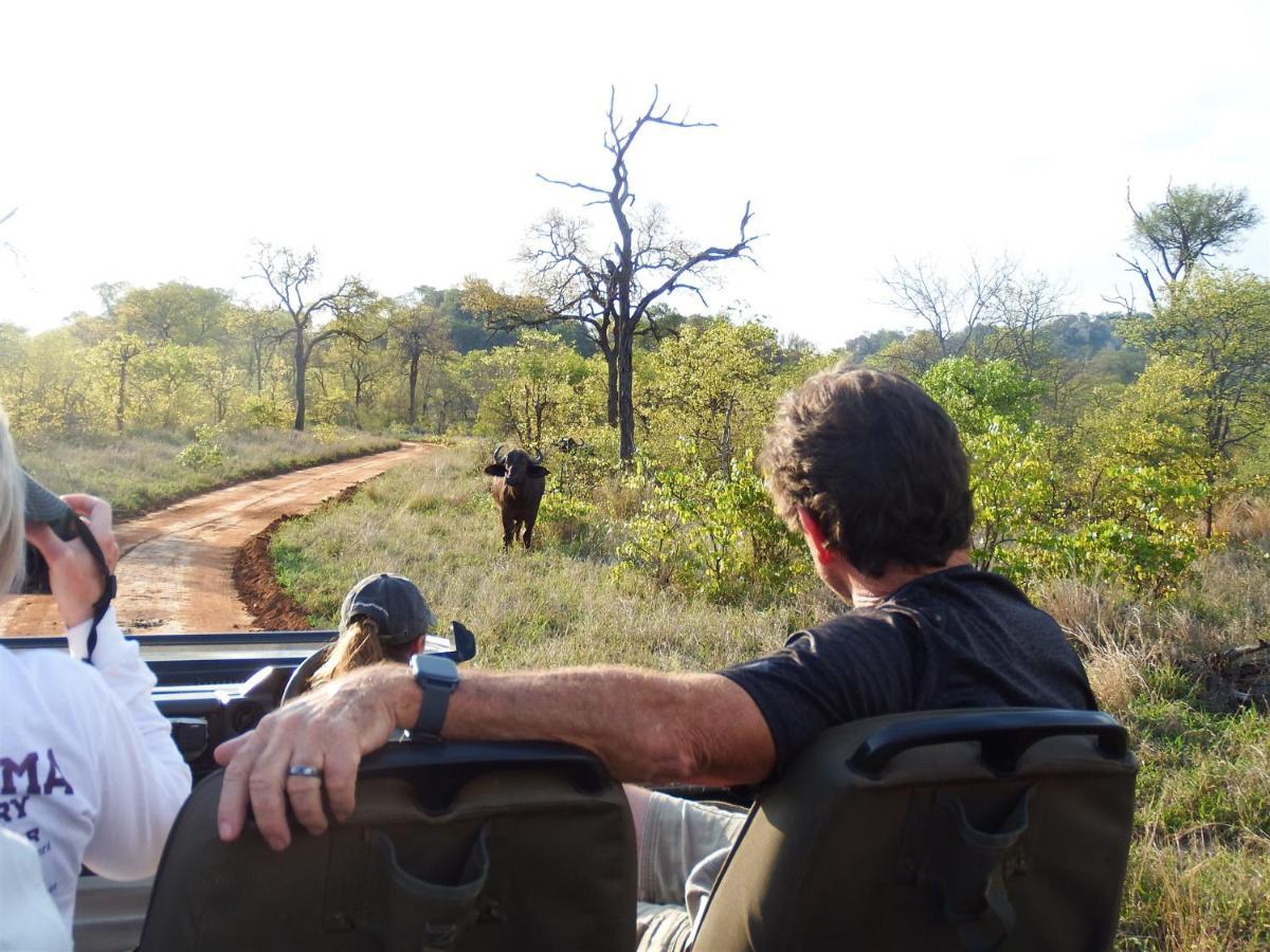 Ndzuti Bush Camp Hotell Balule viltreservat Exteriör bild
