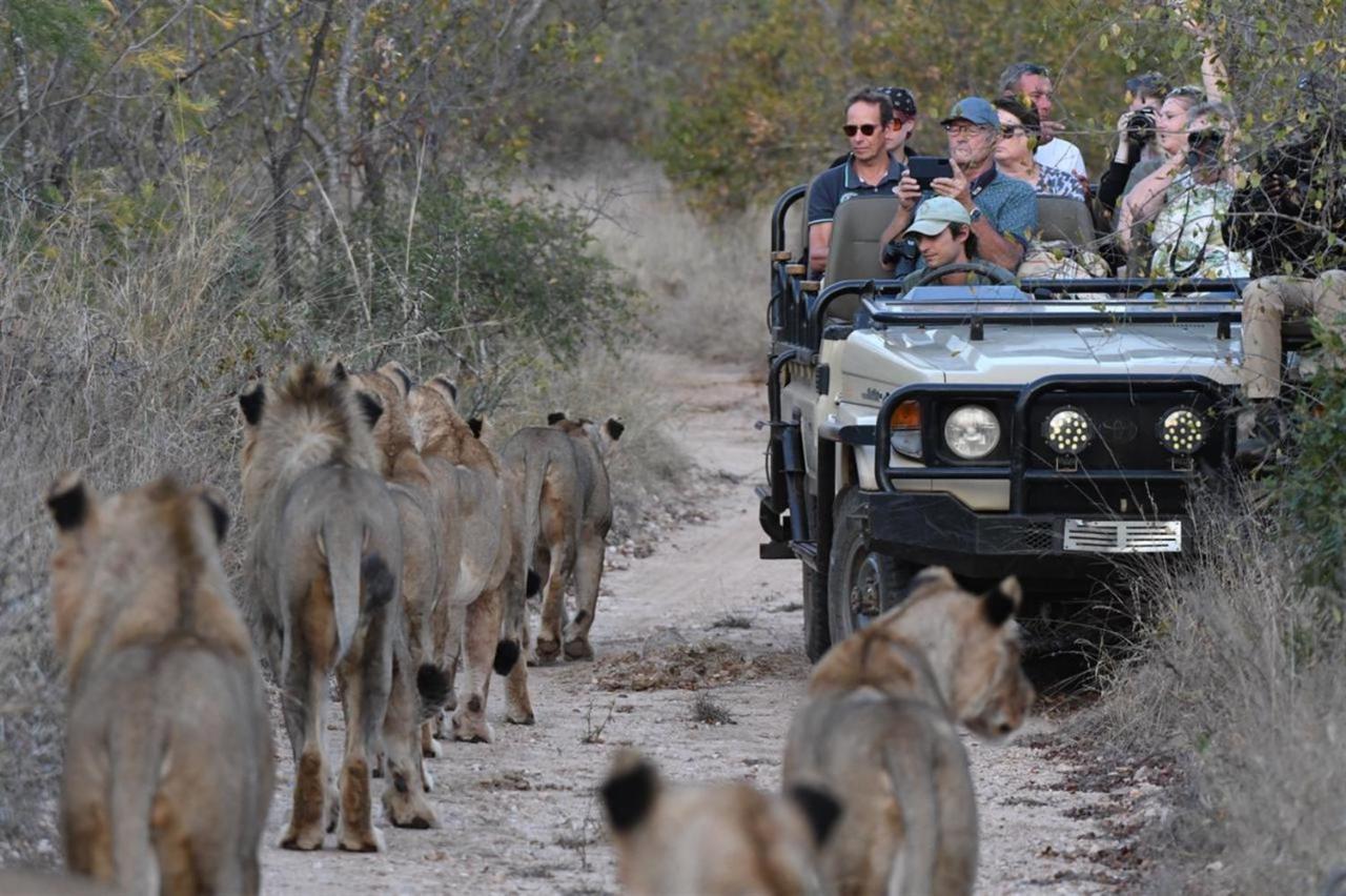 Ndzuti Bush Camp Hotell Balule viltreservat Exteriör bild