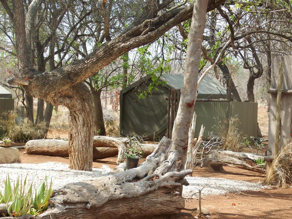 Ndzuti Bush Camp Hotell Balule viltreservat Exteriör bild