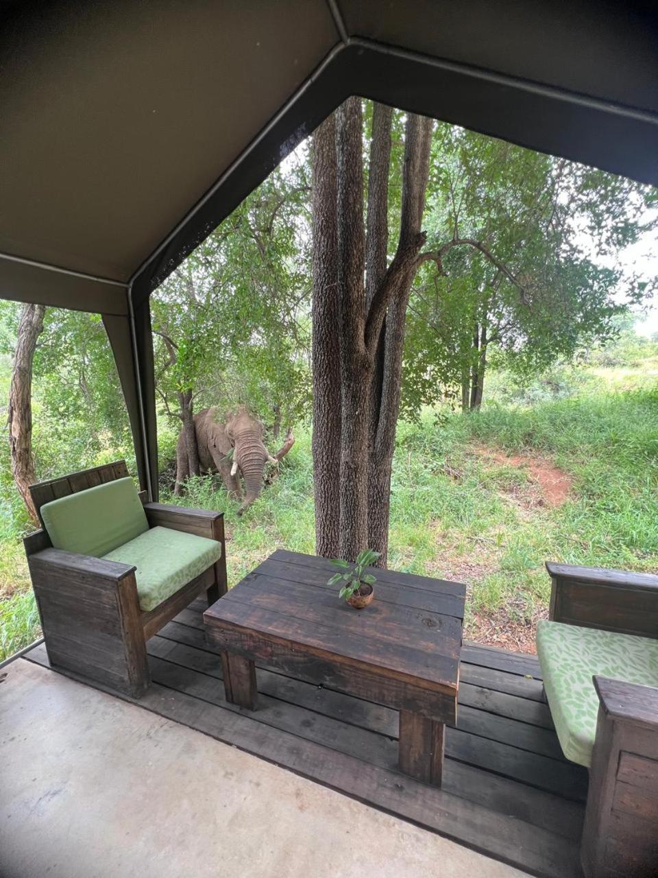 Ndzuti Bush Camp Hotell Balule viltreservat Exteriör bild